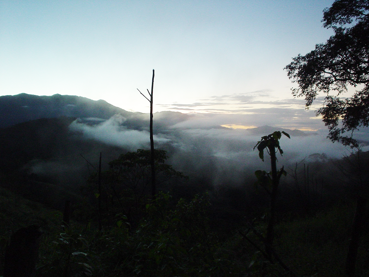Costa Rica Cangrejal Scenery - Morning
