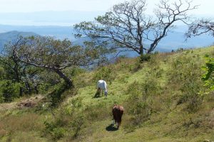 Costa Rica - Horseback Riding